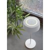 Lutec COCKTAIL Table lamp LED white, 1-light source