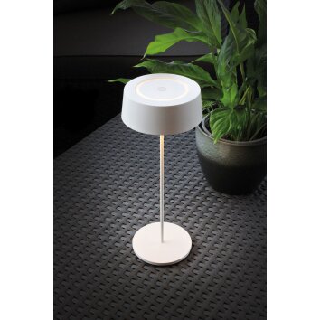 Lutec COCKTAIL Table lamp LED white, 1-light source