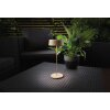 Lutec COCKTAIL Table lamp LED gold, 1-light source