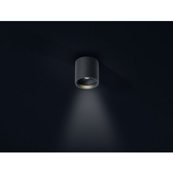 Helestra DORA 1 ceiling light LED black, 1-light source