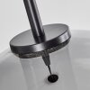 Koyoto Pendant Light glass 25 cm stainless steel, black, 1-light source