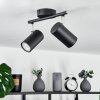 Javel Ceiling Light black, 2-light sources