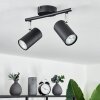 Javel Ceiling Light black, 2-light sources