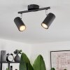 Javel Ceiling Light black, 2-light sources