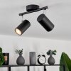 Javel Ceiling Light black, 2-light sources