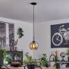 Koyoto Pendant Light glass 20 cm stainless steel, black, 1-light source