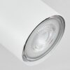 Javel Ceiling Light white, 1-light source
