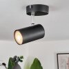 Javel Ceiling Light black, 1-light source