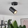 Javel Ceiling Light black, 1-light source