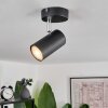 Javel Ceiling Light black, 1-light source