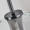 Koyoto Pendant Light glass 25 cm stainless steel, black, 1-light source