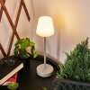 Maza Table lamp LED grey, 1-light source