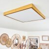 Broglen Ceiling Light LED gold, 1-light source