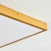 Broglen Ceiling Light LED gold, 1-light source