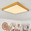 Broglen Ceiling Light LED gold, 1-light source
