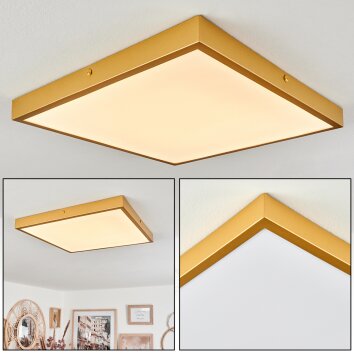 Broglen Ceiling Light LED gold, 1-light source