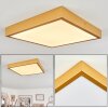 Broglen Ceiling Light LED gold, 1-light source