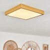 Broglen Ceiling Light LED gold, 1-light source