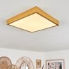 Broglen Ceiling Light LED gold, 1-light source