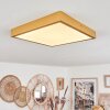 Broglen Ceiling Light LED gold, 1-light source
