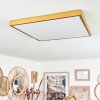 Broglen Ceiling Light LED gold, 1-light source
