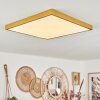 Broglen Ceiling Light LED gold, 1-light source