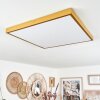 Broglen Ceiling Light LED gold, 1-light source