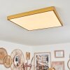 Broglen Ceiling Light LED gold, 1-light source