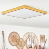 Broglen Ceiling Light LED gold, 1-light source