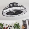 Burmeister ceiling fan LED black, 1-light source, Remote control