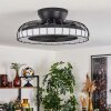 Burmeister ceiling fan LED black, 1-light source, Remote control