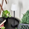 Maza Table lamp LED black, 1-light source