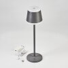 Walt Table lamp LED anthracite, 1-light source