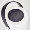 Acebal Solar lights LED black, white, 1-light source, Colour changer