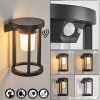 Lokpano Outdoor Wall Light LED black, 1-light source, Motion sensor, Colour changer