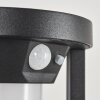 Lokpano Outdoor Wall Light LED black, 1-light source, Motion sensor, Colour changer