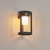 Lokpano Outdoor Wall Light LED black, 1-light source, Motion sensor, Colour changer