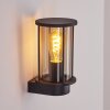 Sumalao Outdoor Wall Light black, 1-light source