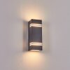 Fokpo Outdoor Wall Light LED black, 1-light source