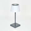 Burzaco Table lamp LED anthracite, 1-light source, Colour changer