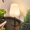 Zoume Solar Table lamp LED black, 8-light sources, Colour changer