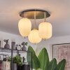 Verbania Ceiling Light black, 3-light sources