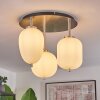 Verbania Ceiling Light black, 3-light sources