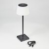 Longchamps Table lamp LED black, 1-light source