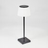Longchamps Table lamp LED black, 1-light source