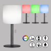 FHL easy Lesina Table lamp LED anthracite, 1-light source, Colour changer
