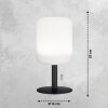 FHL easy Larino Table lamp LED anthracite, 1-light source, Colour changer