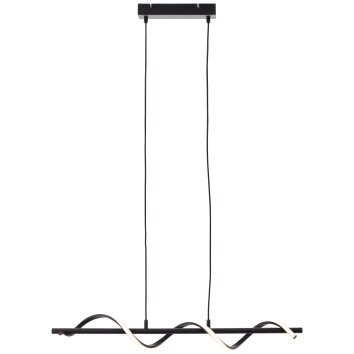 Brilliant Eunice Pendant Light LED black, 1-light source