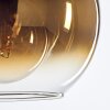 Koyoto Pendant Light glass 20 cm gold, clear, 5-light sources
