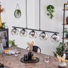 Koyoto Pendant Light glass 15 cm Smoke-coloured, 5-light sources